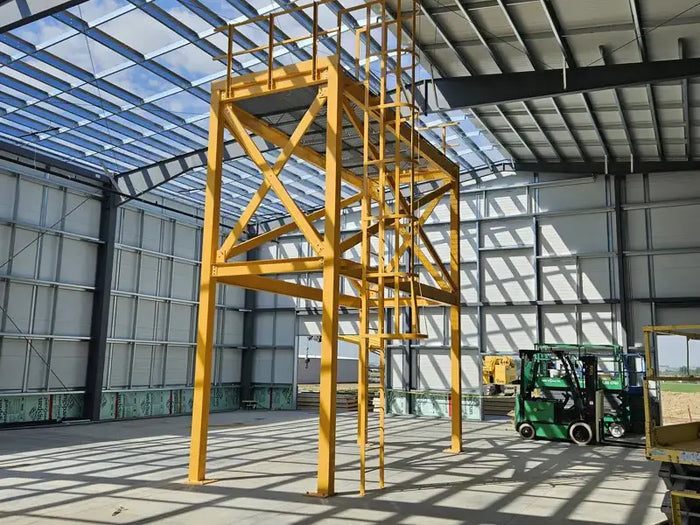 Cage Ladders for Platforms, Rooftops and Mezzanines